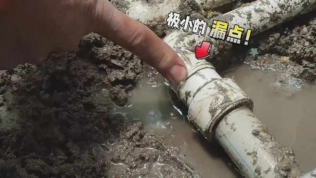 사진 -11 사진 -11