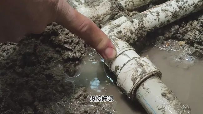 사진 -12 사진 -12
